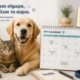 hoolie-pet-reminders.webp