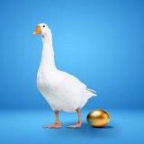 duck_golden_egg.jpg