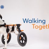 Allianz_Walking Together.jpg