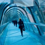 Bridge_Image.jpeg