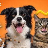skroutz_-_pets_photo.jpg