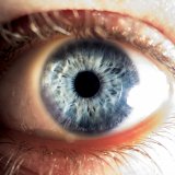 eye