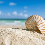 shutterstock_172557758