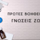 protes_voitheies_screenshot_2