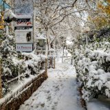 shutterstock_1531462067