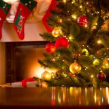 shutterstock_317361377