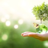 shutterstock_1500154991