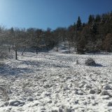 19012021_mobile_037