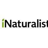 inaturalist-greece-to-neo-melos-toy-pagkosmioy-diktyoy-inaturalist