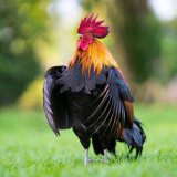 shutterstock_1440536618