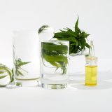 shutterstock_1827675491