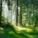 shutterstock_573686731