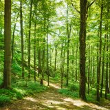 shutterstock_287122835