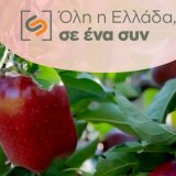 oli-i-ellada-ena-syn