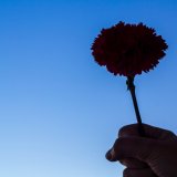 shutterstock_1147923140