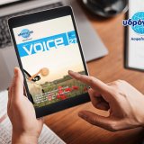 voice_mag_visual