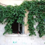 athens_20062012_n_126