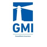 gmi