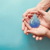 shutterstock_1653122137