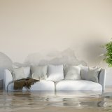 shutterstock_221766814