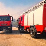 w22-94810araxnaio010