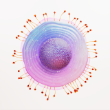 gsk_shingles_science_image