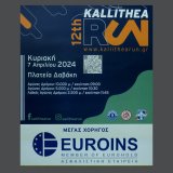 kallithea_run