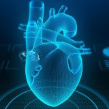mri_heart