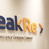 peak_re_logo