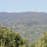 xorio