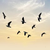 shutterstock_2508941193