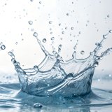 shutterstock_2600156291